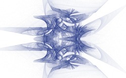 2014 04 30 Webs and Things 30-white.jpg